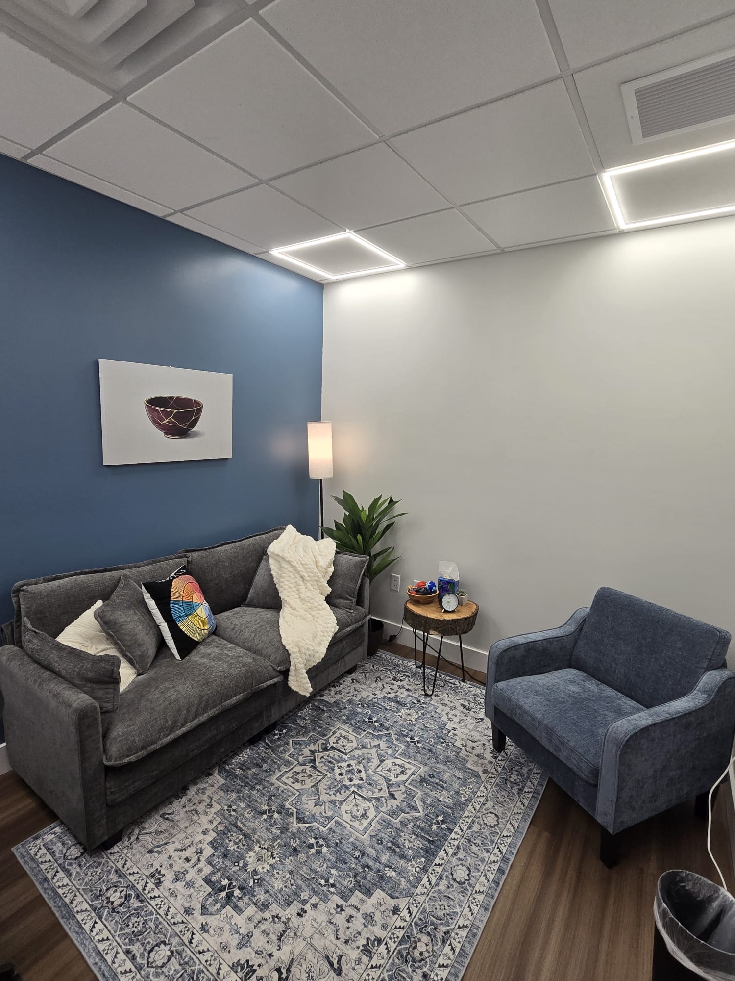 Eli's therapy office